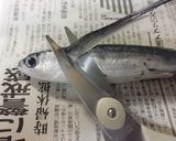 トビウオ（一夜干し）の塩焼き作り方1写真