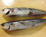 トビウオ（一夜干し）の塩焼き作り方12写真