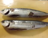 トビウオ（一夜干し）の塩焼き作り方11写真
