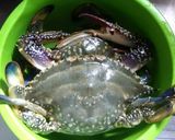 【フライパンで】渡り蟹の茹で方作り方1写真