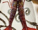 【絶品】幻のブドウエビ(ヒゴロモエビ)作り方1写真