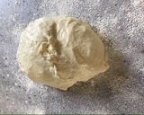 捏ねて寝かせた生地deフランスパン作り方8写真