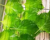 鶏ひき肉でいろいろ野菜肉詰め作り方1写真