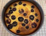 ヨーグルトでベイクドチーズケーキ風作り方12写真