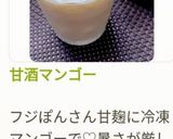 甘酒マンゴー作り方15写真