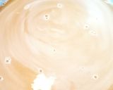 ズボラリンゴゼリー☆作り方1写真