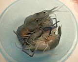 オニテナガエビの唐揚げ作り方1写真