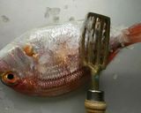 鯛の湯引き造り作り方2写真