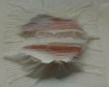鯛の湯引き造り作り方5写真