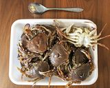 マルガニのトマトソースパスタ作り方9写真