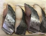 魚の粕漬け作り方7写真