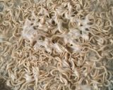 たった一手間！びっくり美味しい カップ麺作り方1写真