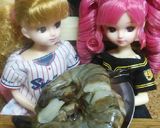リカちゃん♡野球シリーズ(YS)黒酢炒め作り方2写真