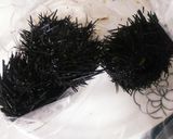 新鮮 ウニ【雲丹】刺身♪( ´∀`)♪作り方2写真