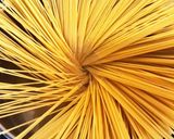 大葉でさっぱり☆ミートソースパスタ作り方1写真