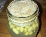 天然酵母パン　レーズン酵母作り方14写真