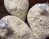 手作り味噌　作り方14写真