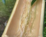 本格的そうめん流し！作り方！竹の割り方作り方18写真