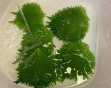 大葉　長持ちさせる方法作り方1写真