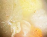 小麦粉慣らし シチュー 離乳食中期~作り方1写真