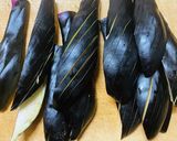 茄子と醤油麹のvege南蛮漬け作り方2写真