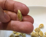 かぼちゃの種を煎る作り方8写真