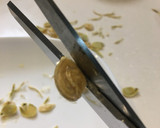 かぼちゃの種を煎る作り方7写真