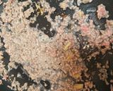 油不使用☆ フライパンで汁なし肉じゃが作り方3写真