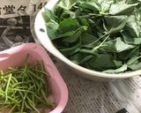 モロヘイヤの冷凍タブレット作り方2写真