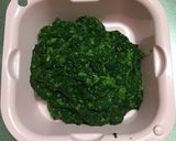 モロヘイヤの冷凍タブレット作り方3写真