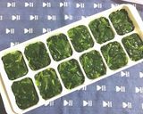 モロヘイヤの冷凍タブレット作り方9写真