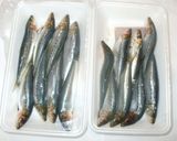 魚いわしのパン粉焼き♪フライより簡単作り方1写真