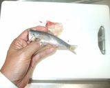 魚いわしのパン粉焼き♪フライより簡単作り方4写真
