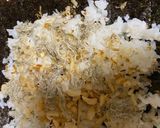 天かすの海苔巻き　たぬき巻き作り方3写真