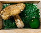 簡単！松茸のお汁・お吸物〜\(^o^)/作り方2写真