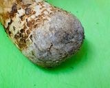 簡単！松茸のお汁・お吸物〜\(^o^)/作り方3写真