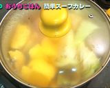 スパイシーな簡単スープカレー作り方18写真