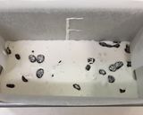 米粉のレーズン食パン作り方11写真