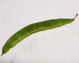レンジで簡単♪いんげんの下茹で&冷凍保存作り方9写真