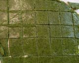 低糖質ケールクラッカー作り方11写真