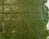 低糖質ケールクラッカー作り方12写真