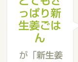 とてもさっぱり新生姜ごはん&生姜ご飯作り方3写真