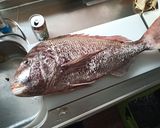 化物を喰らう作り方7写真