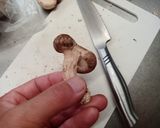お弁当に！　しいたけの含め煮作り方3写真
