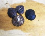 高野豆腐と野菜の寄せ煮★作り方6写真