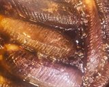 茄子のオランダ煮作り方4写真