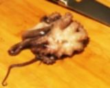 タコのアヒージョと茹で蛸の刺身作り方4写真