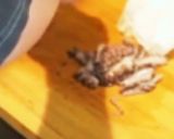 タコのアヒージョと茹で蛸の刺身作り方10写真