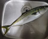 ブリカマ塩焼き作り方1写真