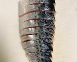 漢のしめ鯖作り方5写真